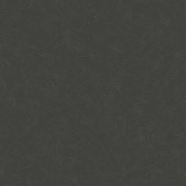 Tapete Schwarz, Anthrazit AS-Creation Vliestapete (376985)
