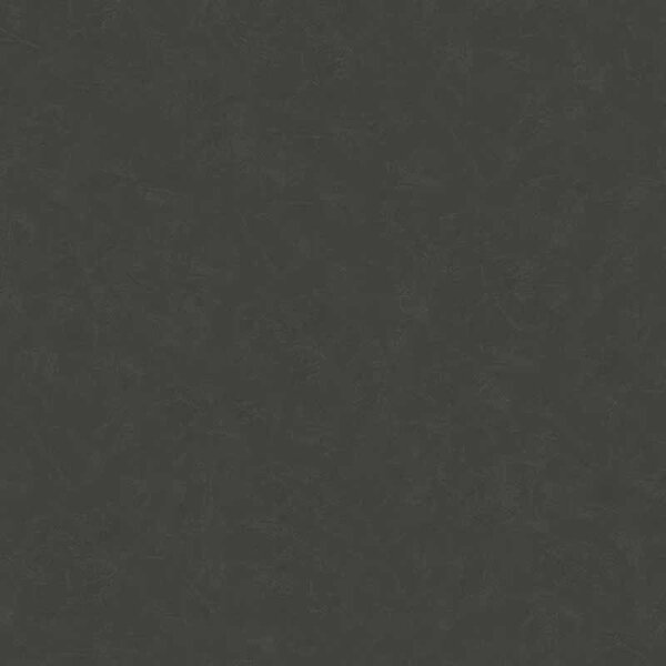 Tapete Schwarz, Anthrazit AS-Creation Vliestapete (376985)