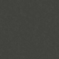 Tapete Schwarz, Anthrazit AS-Creation Vliestapete (376985)