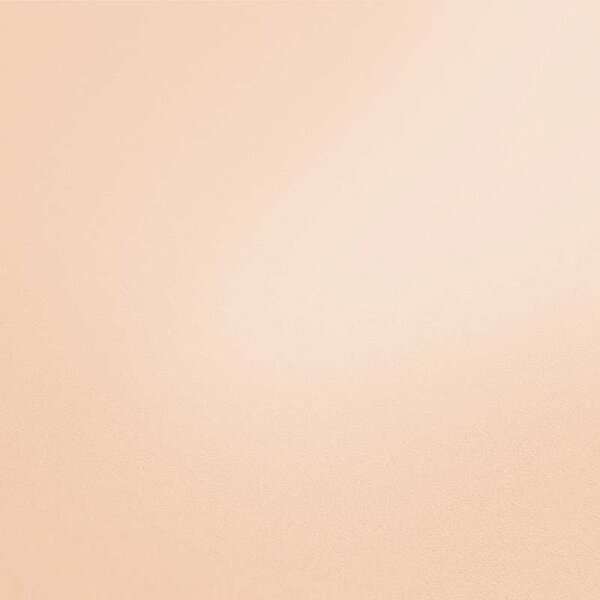 Tapete Pastellfarben, Rosa, Rose AS-Creation Vliestapete (376805)