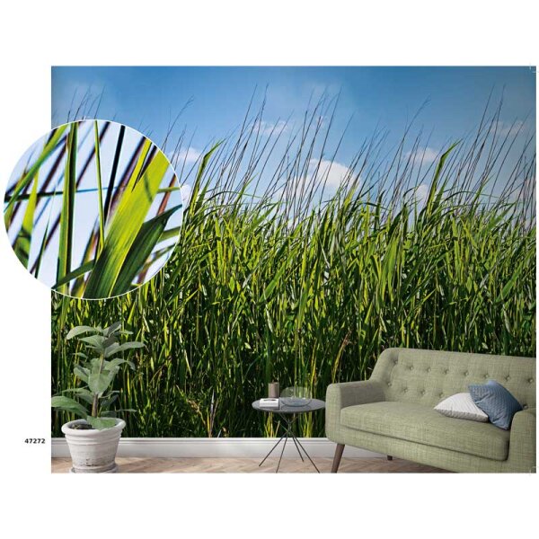 Digitaldruck-Tapete Natural Style Marburg (47272)