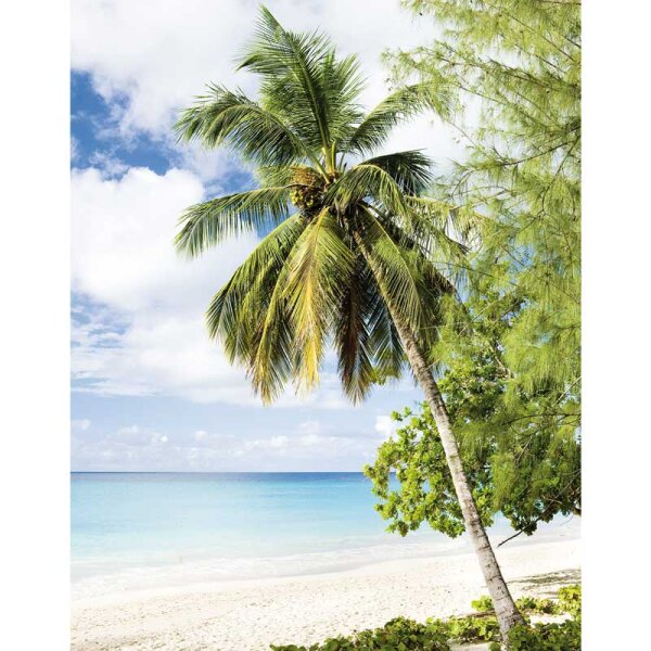 Digitaldruck-Tapete Natural Style Marburg (47269)