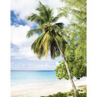 Digitaldruck-Tapete Natural Style Marburg (47269)