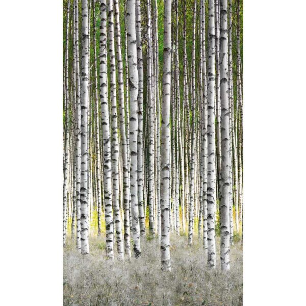 Digitaldruck-Tapete Natural Style Marburg (47220)