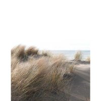 Digitaldruck-Tapete Natural Style Marburg (47219)