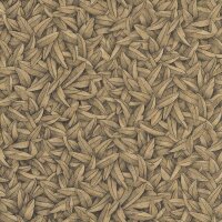 Tapete Braun, Gold, Kupfer Harald Gl&ouml;&ouml;ckler...