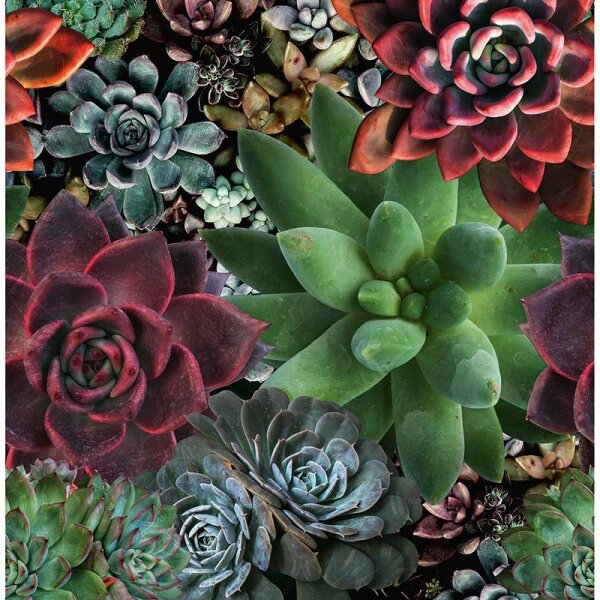 Digitaldruck-Tapete BELLA Marburg (46701)