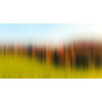 Digitaldruck-Tapete Diffused Tree Row 1 Architects Paper...