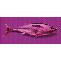 Digitaldruck-Tapete Tuna Graphic 3 Architects Paper...