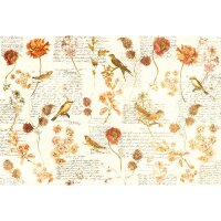 Digitaldruck-Tapete Bird Poetry 2 Architects Paper...