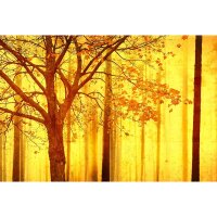 Digitaldruck-Tapete Edge 2 Architects Paper (DD117950)