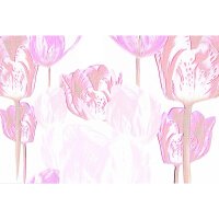 Digitaldruck-Tapete Tulip Artwork 1 Architects Paper...