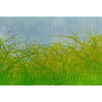 Digitaldruck-Tapete Thorn hedge 3 Architects Paper...