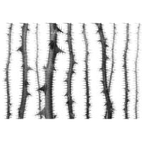 Digitaldruck-Tapete Blurred Thorns 2 Architects Paper...