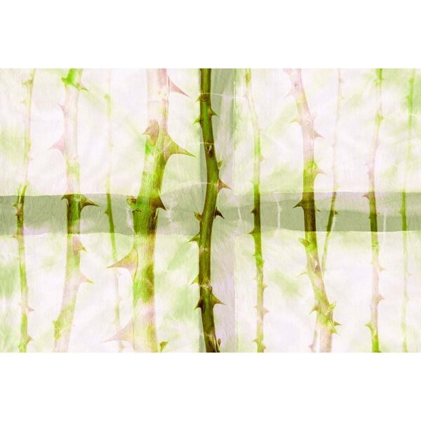 Digitaldruck-Tapete Thorn Art 2 Architects Paper (DD117855)