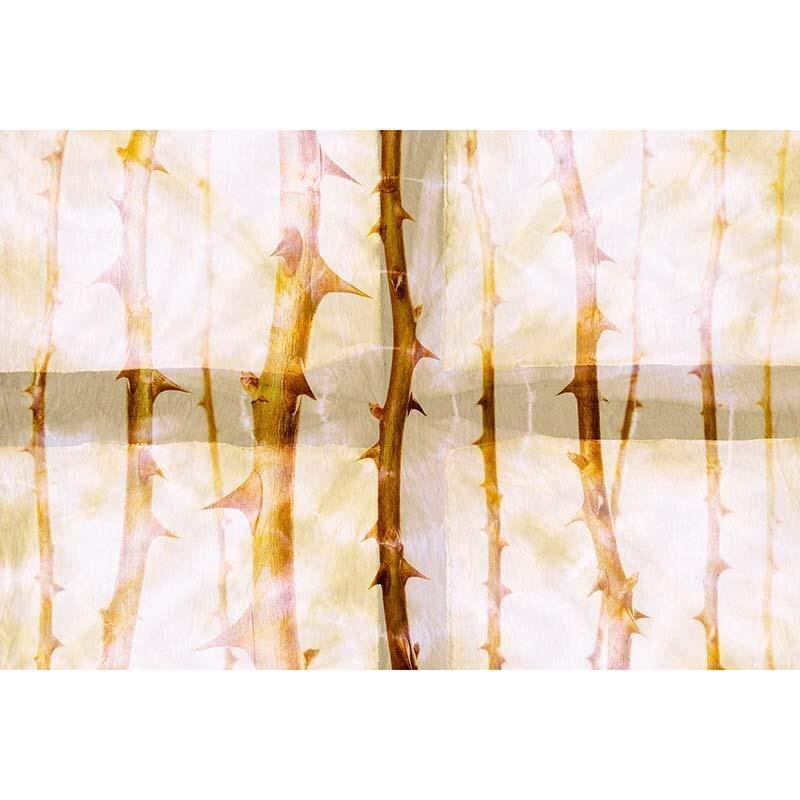 Digitaldruck-Tapete Thorn Art 1 Architects Paper (DD117850)