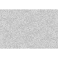 Digitaldruck-Tapete Chaotic Lines 1 Architects Paper...