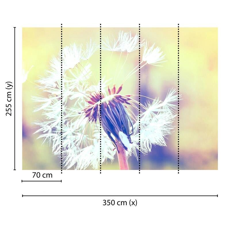 Digitaldruck-Tapete Dandelion 2 livingwalls (DD118596)