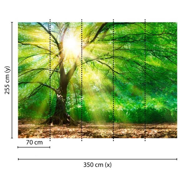 Digitaldruck-Tapete Forest Light livingwalls (DD118798)