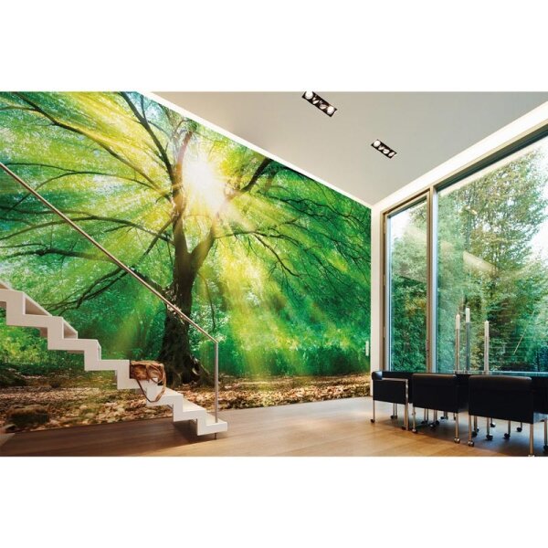 Digitaldruck-Tapete Forest Light livingwalls (DD118798)