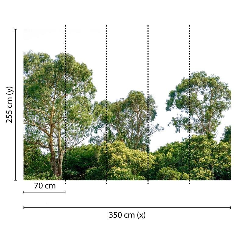 Digitaldruck-Tapete Treetop livingwalls (DD118797)