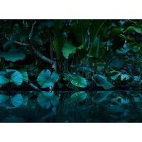 Digitaldruck-Tapete Tropical livingwalls (DD118796)