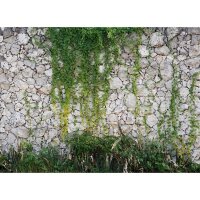 Digitaldruck-Tapete Stone wall livingwalls (DD118793)