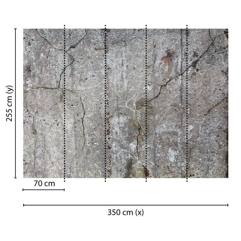 Digitaldruck-Tapete Old Concrete livingwalls (DD118791)
