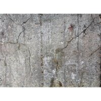 Digitaldruck-Tapete Old Concrete livingwalls (DD118791)