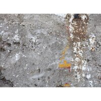 Digitaldruck-Tapete Beton Detail livingwalls (DD118789)