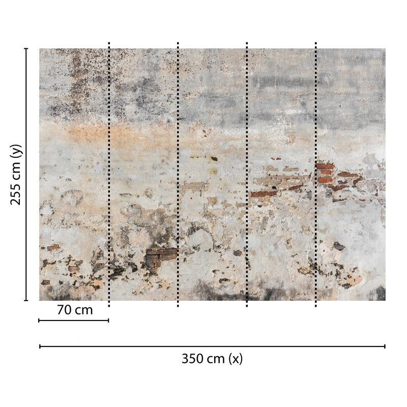 Digitaldruck-Tapete Old Wall livingwalls (DD118764)