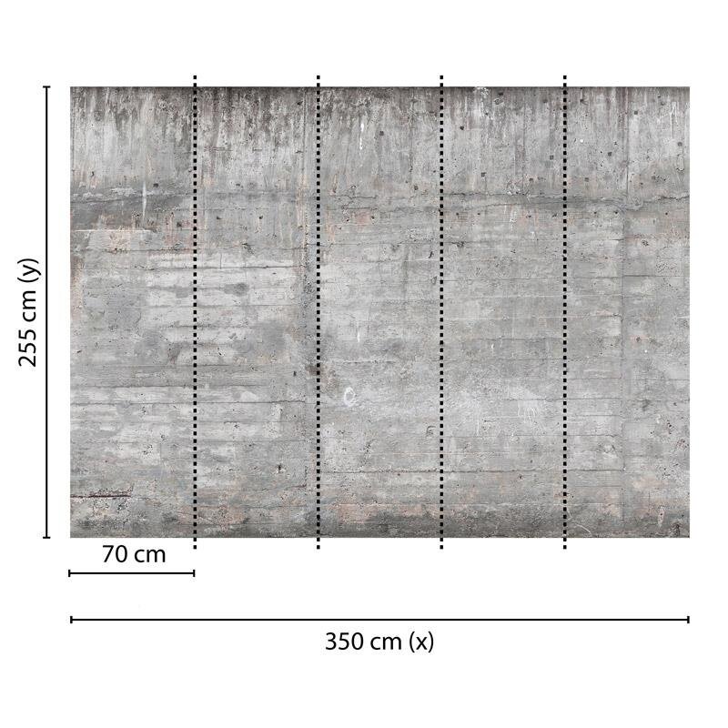 Digitaldruck-Tapete Concrete Wall livingwalls (DD118750)