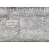 Digitaldruck-Tapete Concrete Wall livingwalls (DD118750)
