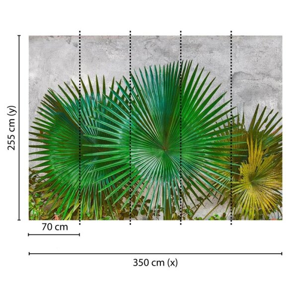 Digitaldruck-Tapete Agave Leaves livingwalls (DD118710)