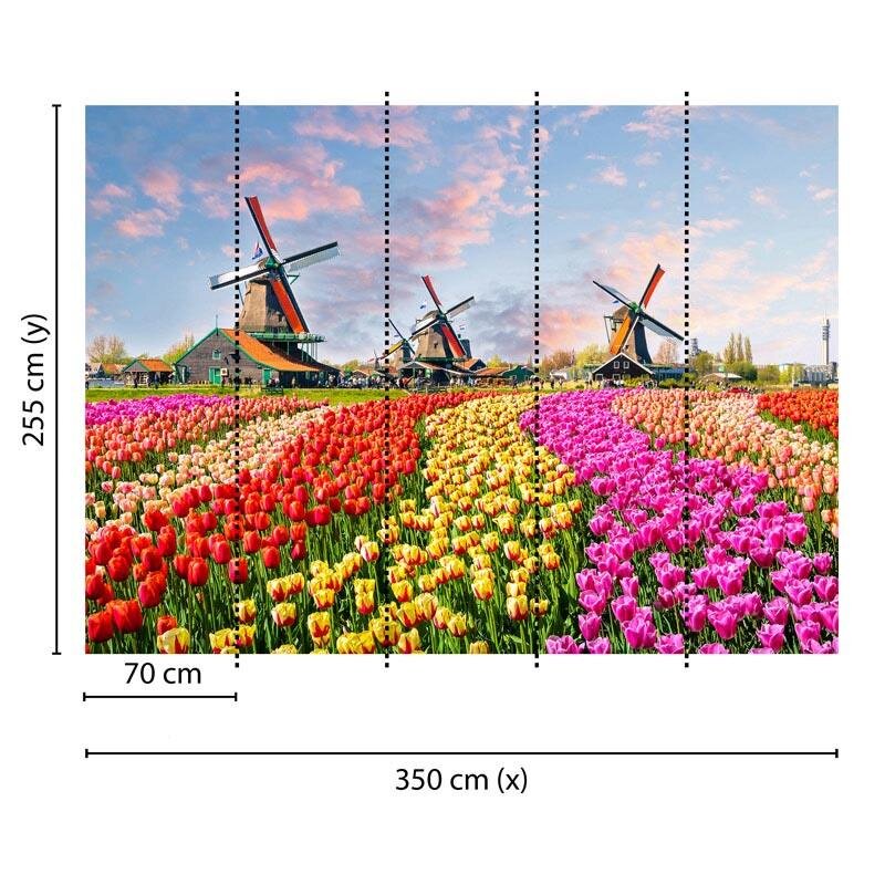 Digitaldruck-Tapete Zaanse Schans livingwalls (DD118694)