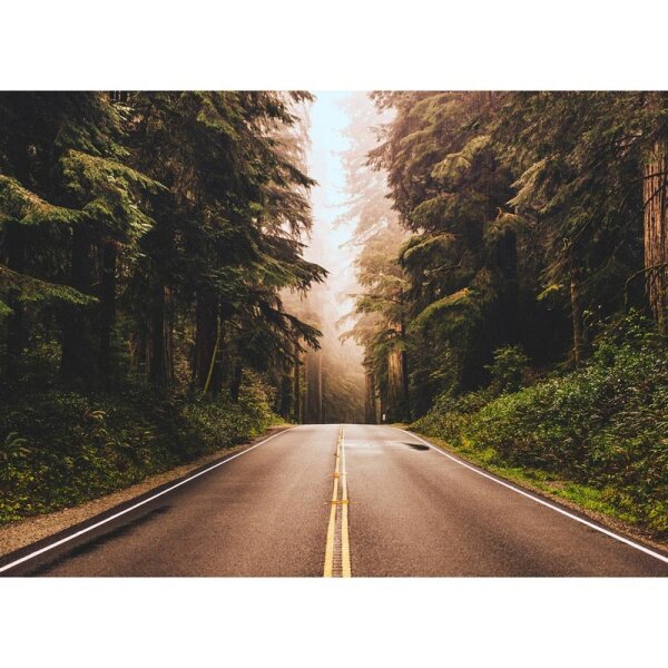 Digitaldruck-Tapete Road Trip livingwalls (DD118636)