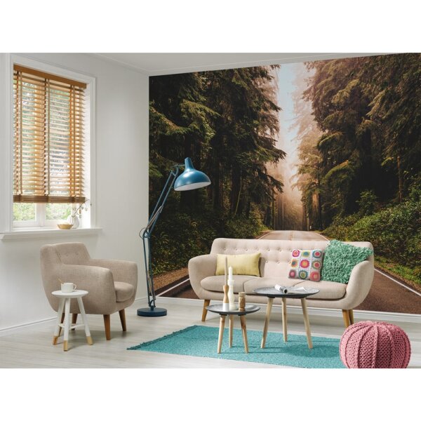 Digitaldruck-Tapete Road Trip livingwalls (DD118636)