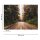 Digitaldruck-Tapete Road Trip livingwalls (DD118636)
