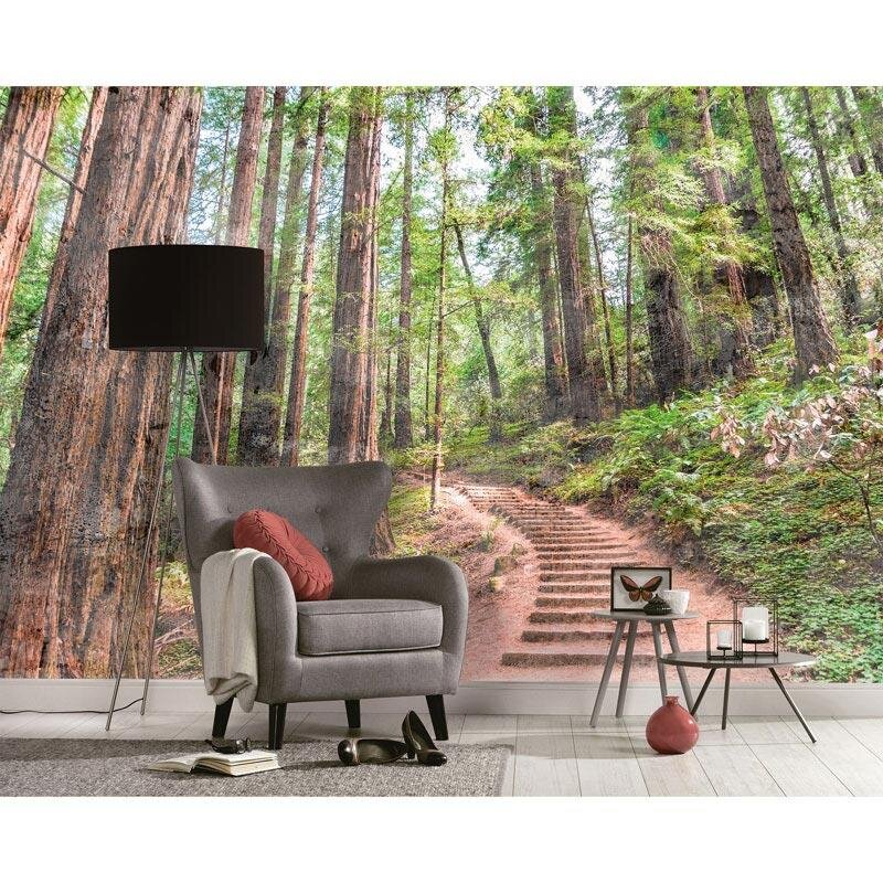 Digitaldruck-Tapete Forest Walk 1 livingwalls (DD118626)