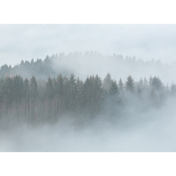 Digitaldruck-Tapete Misty Forest livingwalls (DD118604)
