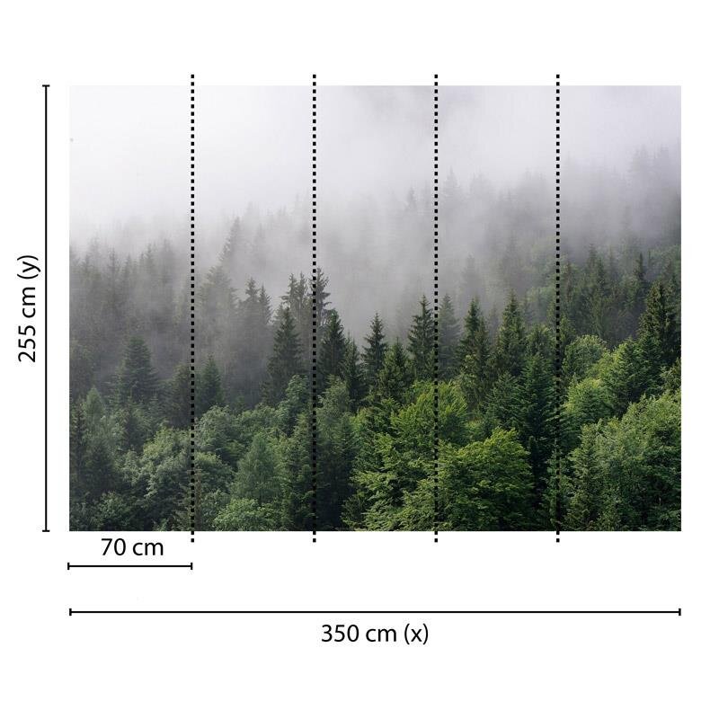 Digitaldruck-Tapete Foggy Fir Trees livingwalls (DD118602)