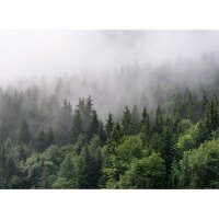 Digitaldruck-Tapete Foggy Fir Trees livingwalls (DD118602)