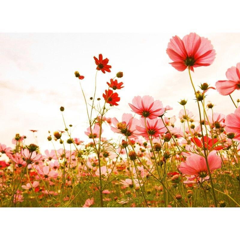 Digitaldruck-Tapete Flower Meadow 1 livingwalls (DD118598)