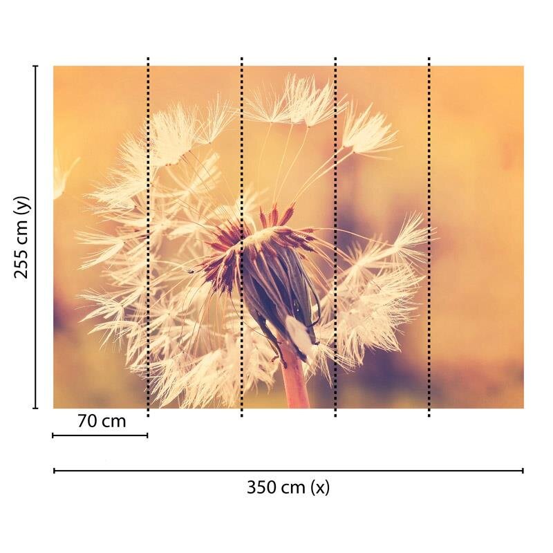 Digitaldruck-Tapete Dandelion 1 livingwalls (DD118594)