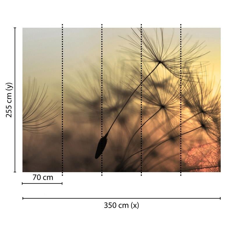 Digitaldruck-Tapete Flying Dandelion 2 livingwalls (DD118592)