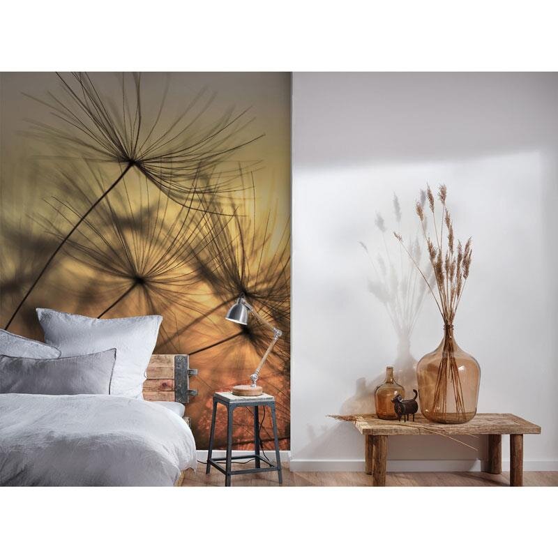 Digitaldruck-Tapete Flying Dandelion 2 livingwalls (DD118592)