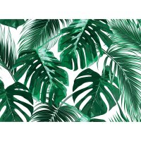 Digitaldruck-Tapete Palm Leaves 1 livingwalls (DD118572)