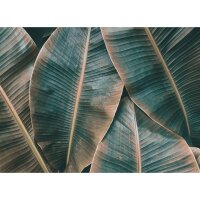 Digitaldruck-Tapete Banana Leaves 2 livingwalls (DD118562)