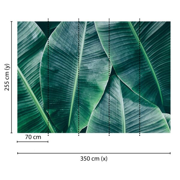 Digitaldruck-Tapete Banana Leaves 1 livingwalls (DD118560)