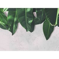 Digitaldruck-Tapete Leaves Wall 2 livingwalls (DD118546)